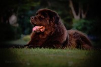 /album/fotogalerij1/marielle-7-jpg/